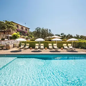 Amina , Vagliagli Italia